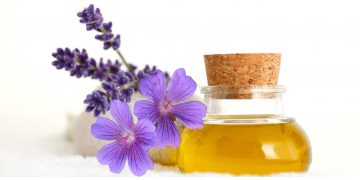 خواص گیاه ، شربت و روغن بنفشه