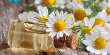 آشنایی با خواص بابونه